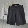 2023SS Dior Shorts