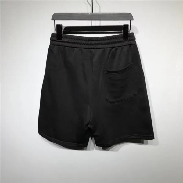 2023ss Louis Vuitton Shorts