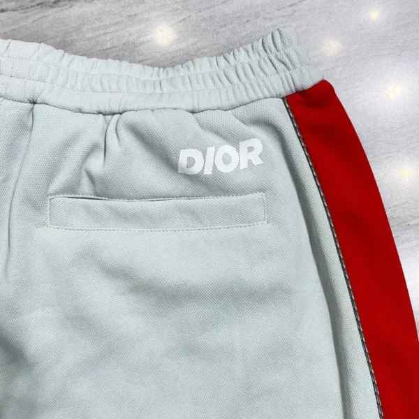 2023ss Dior Shorts