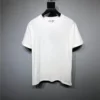 2023ss Dior T Shirt