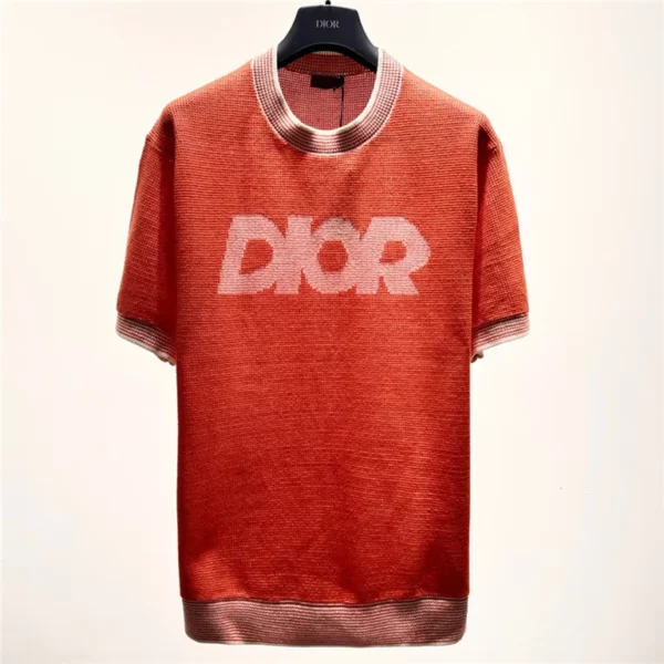 2023ss Dior T Shirt