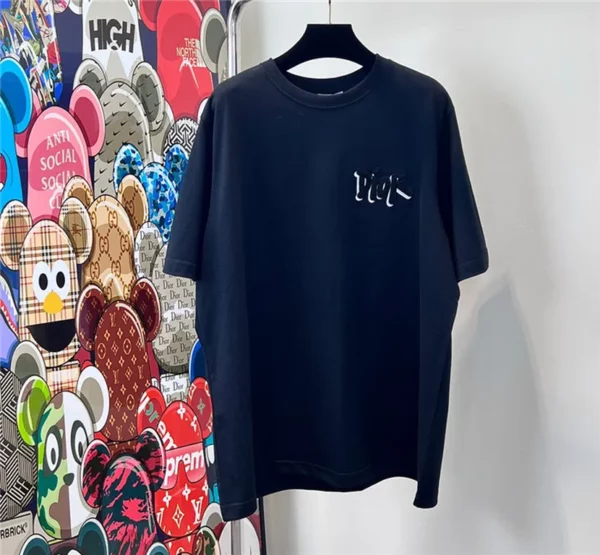 2023ss Dior T Shirt