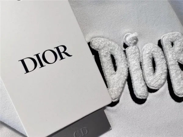 2023ss Dior T Shirt