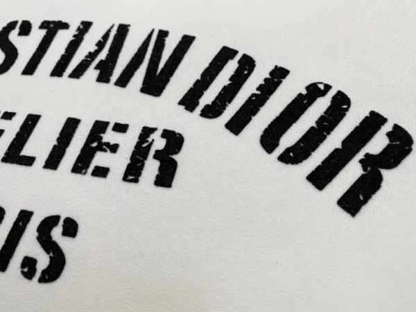 2021ss Dior Hoodie