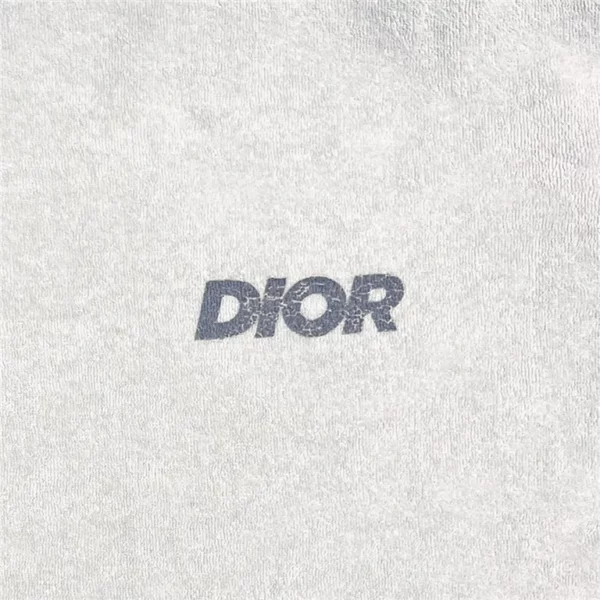 2023ss Dior T Shirt