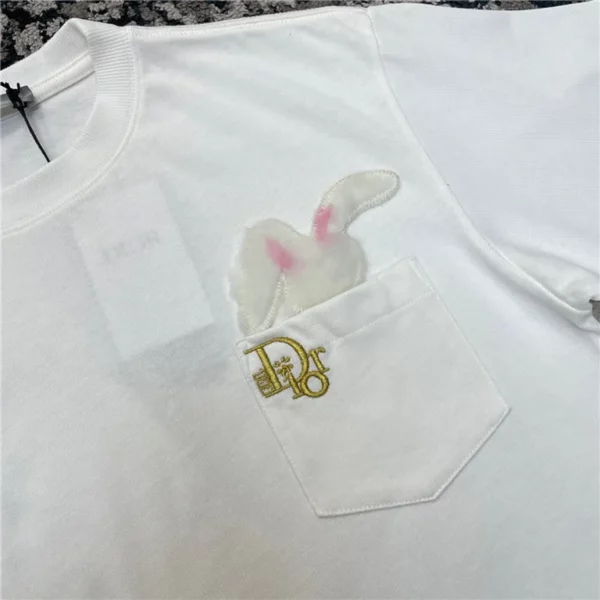 2023ss Dior T Shirt