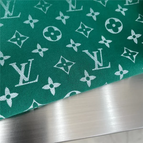 2023fw Louis Vuitton Hoodie