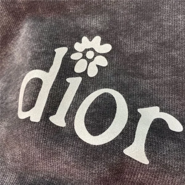 2022fw Dior Hoodie