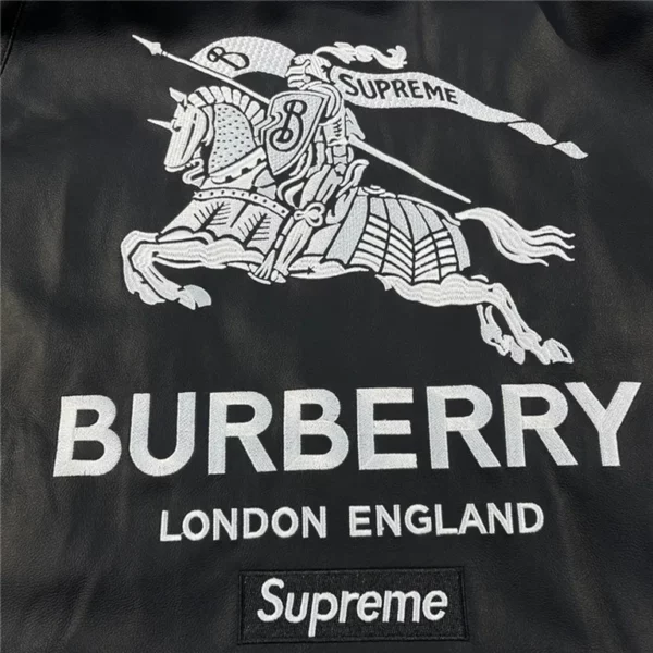 2022fw Burberry Jacket