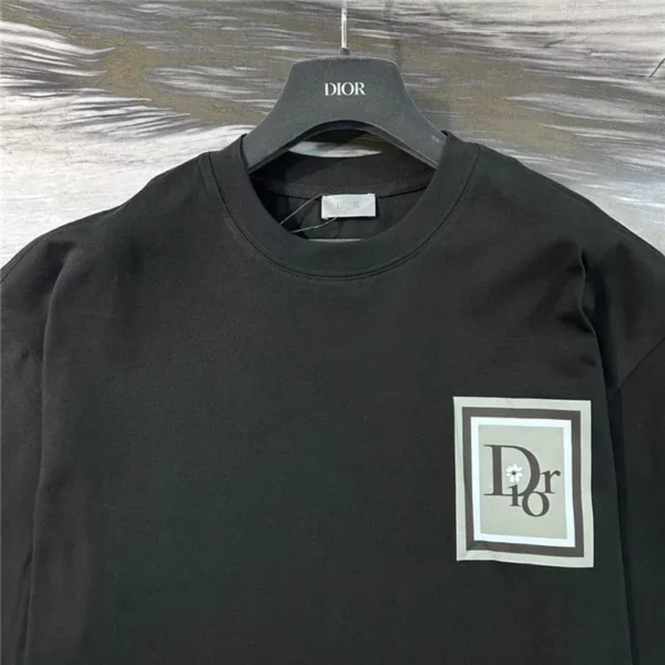 2023ss Dior T Shirt