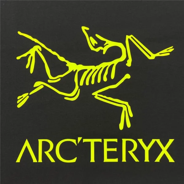 Arcteryx Sweater