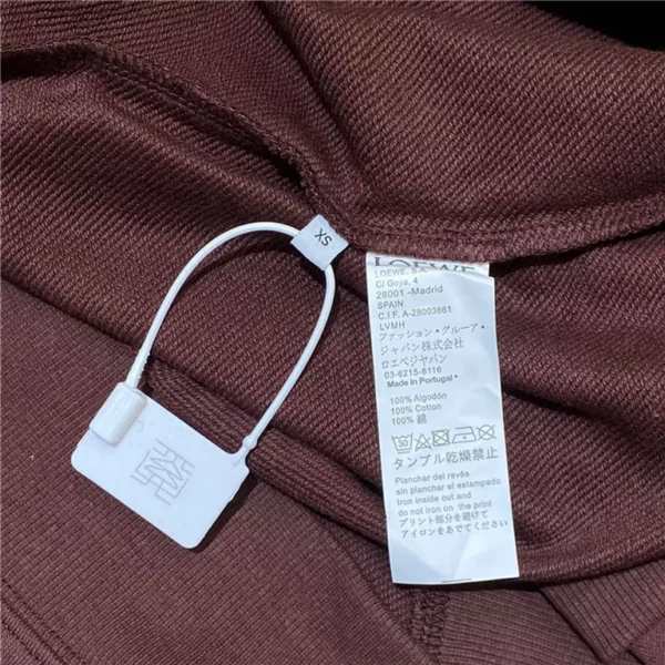 2022fw Loewe Hoodie