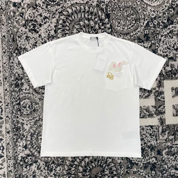 2023ss Dior T Shirt