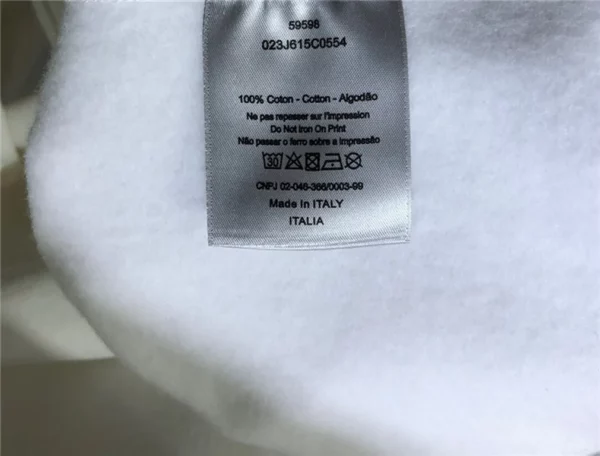 2021ss Dior Hoodie