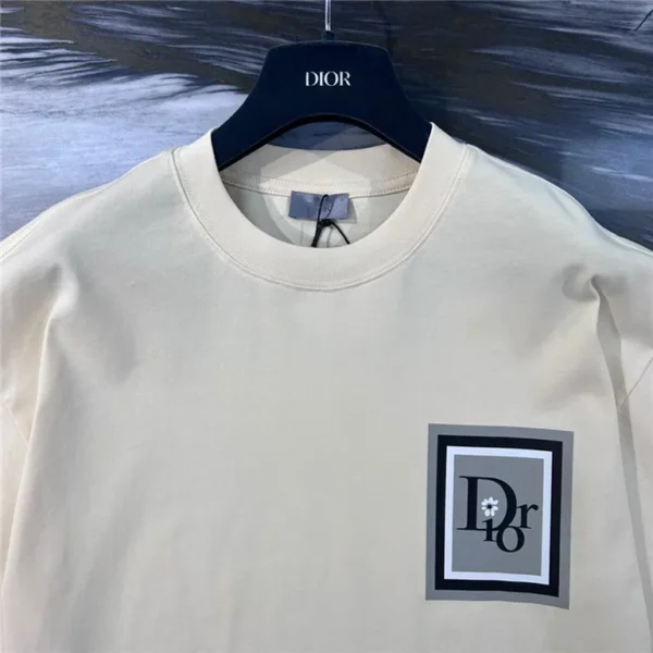 2023ss Dior T Shirt