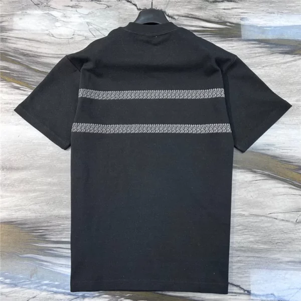 2023ss Dior T Shirt