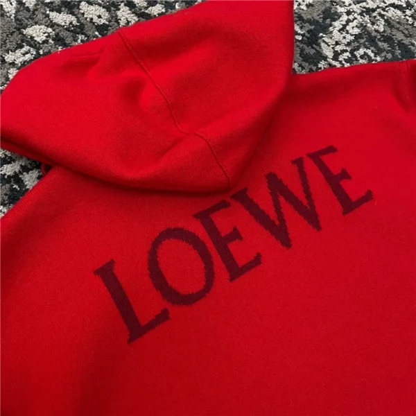 2022fw Loewe Hoodie