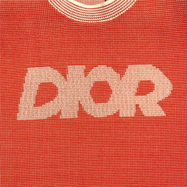 2023ss Dior T Shirt