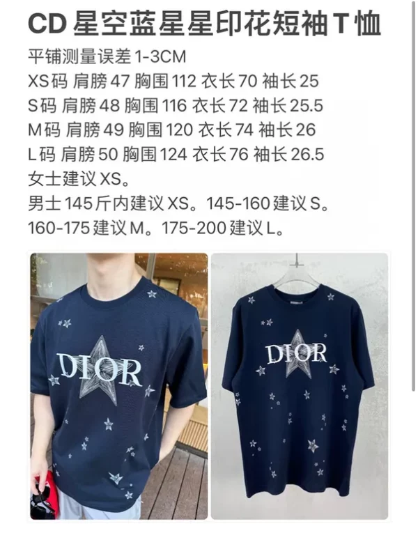 2023fw Dior T Shirt