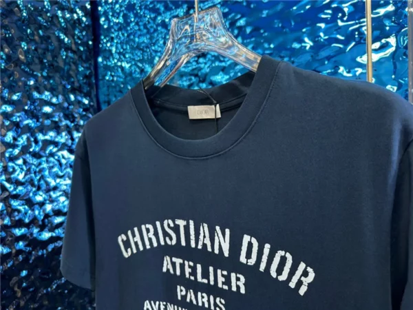 2023ss Dior T Shirt