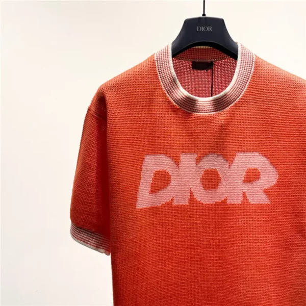 2023ss Dior T Shirt