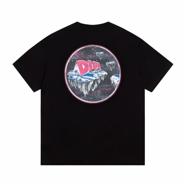 2023ss Dior T Shirt