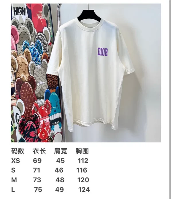 2023ss Dior T Shirt