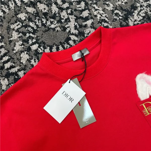 2023ss Dior T Shirt