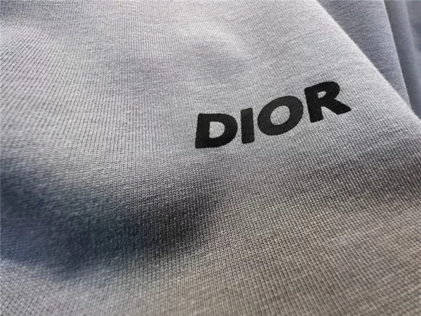 2023ss Dior T Shirt