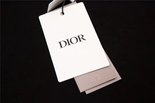 2023ss Dior T Shirt