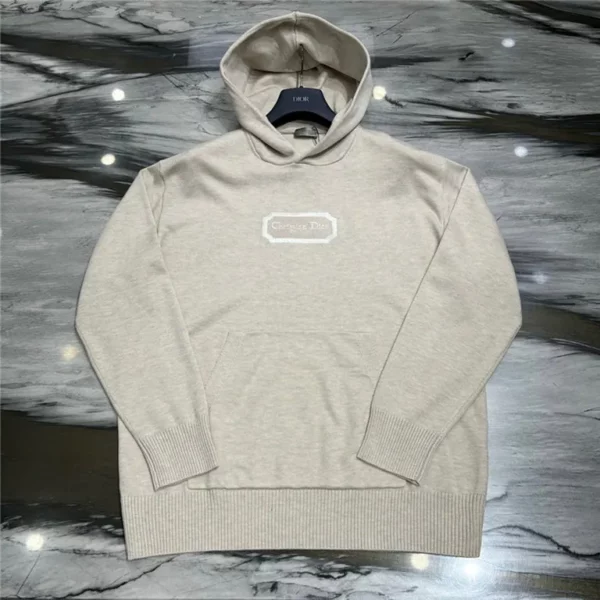 2023fw Dior Hoodie