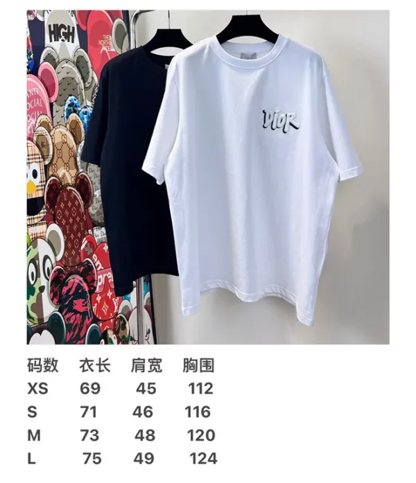 2023ss Dior T Shirt