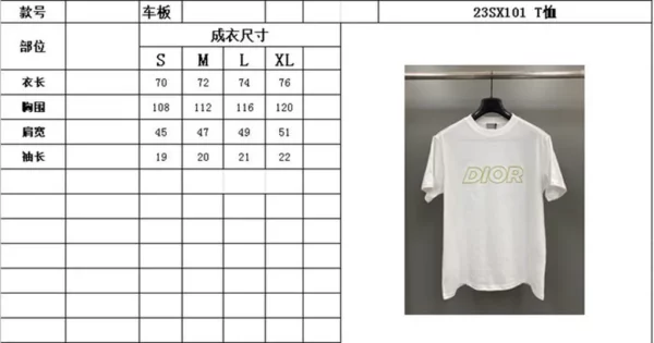 2023ss Dior T Shirt