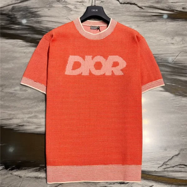 2023ss Dior T Shirt