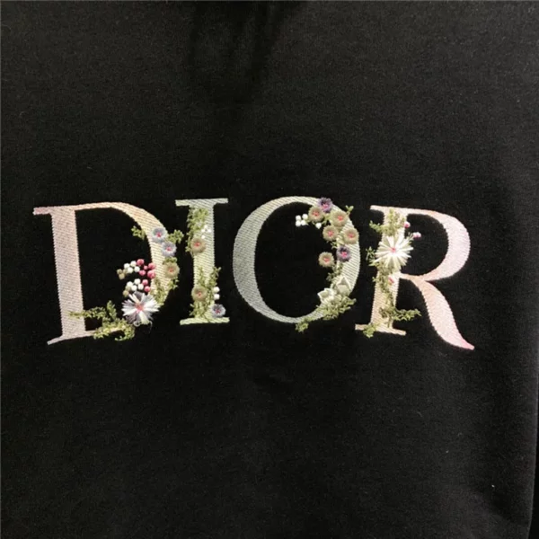 2021ss Dior Hoodie