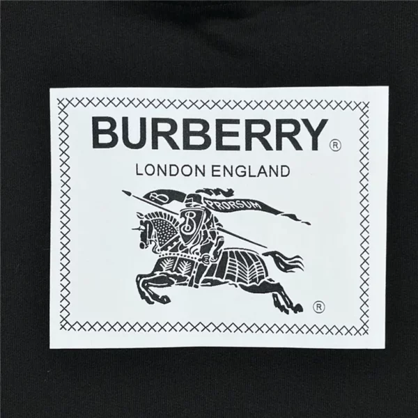 2023fw Burberry Hoodie