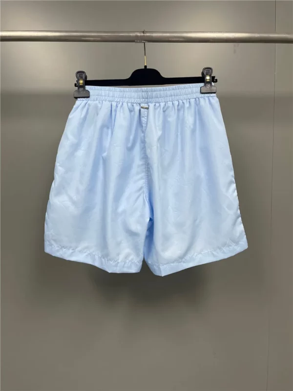 2024ss Louis Vuitton Shorts