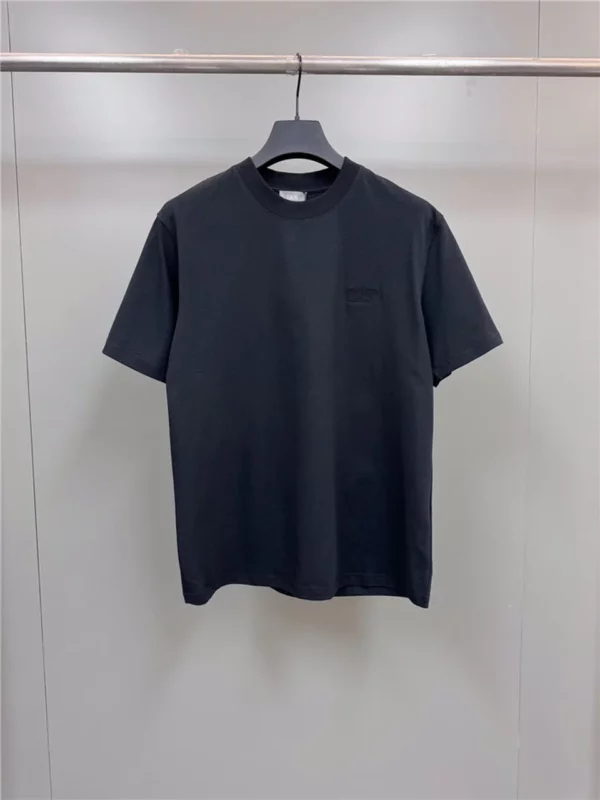 2024SS Dior T Shirt - Replica Dior