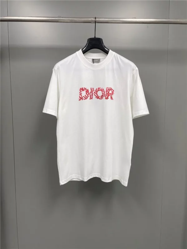 2024SS Dior T Shirt - Replica Dior