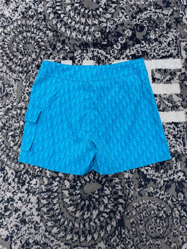 2024SS Dior Shorts - Replica designer shorts