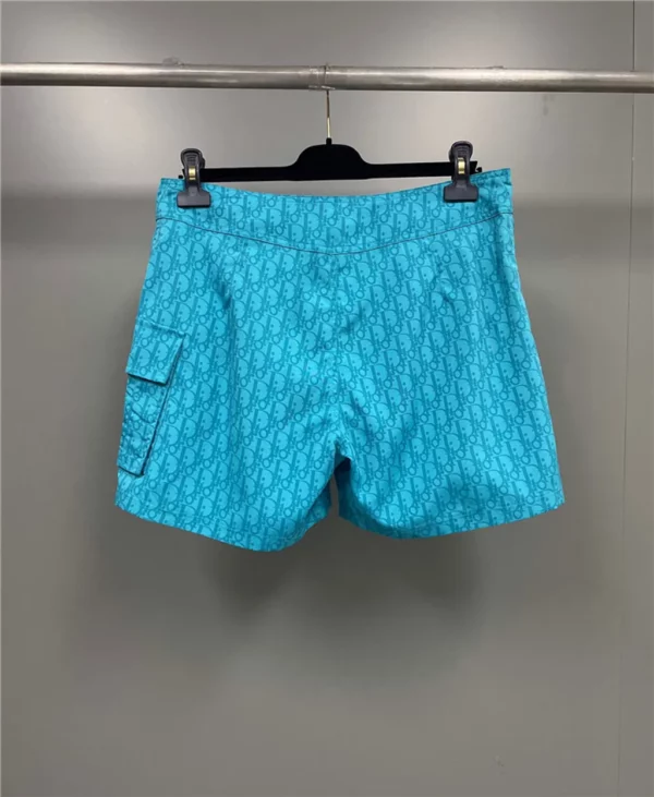 2024SS Dior Shorts - Replica designer shorts