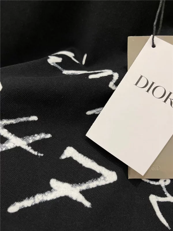 2024SS Dior T Shirt - Replica Dior