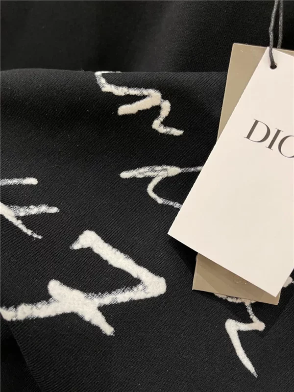 2024SS Dior T Shirt - Replica Dior