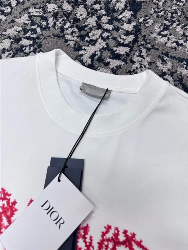 2024SS Dior T Shirt - Replica Dior