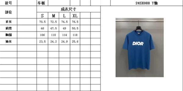 2024SS Dior T Shirt - Replica Dior