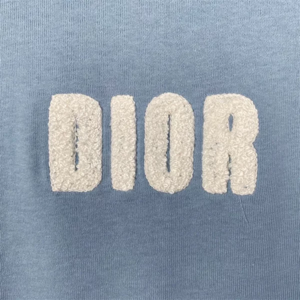 2024SS Dior T Shirt - Replica Dior