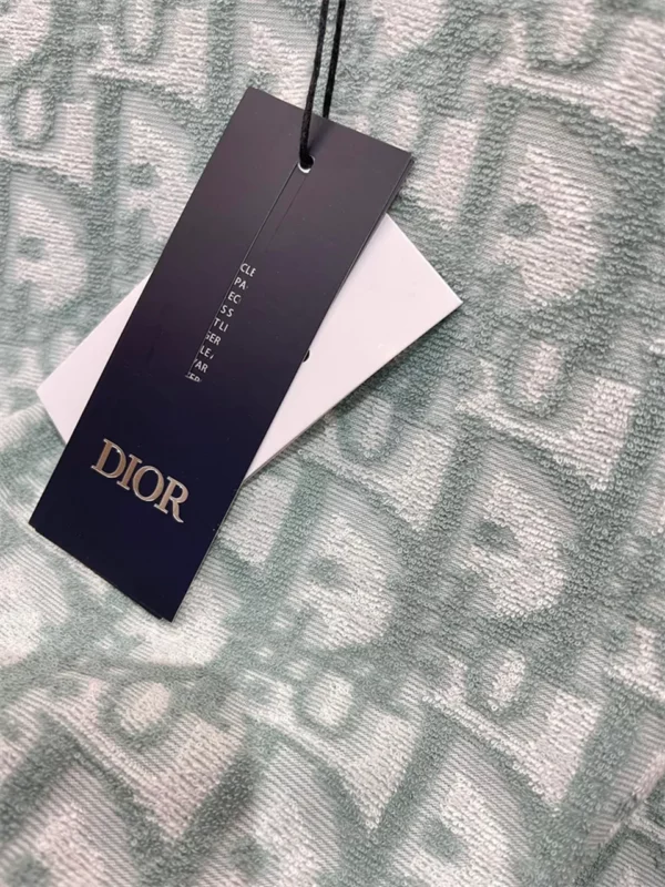 2024SS Dior T Shirt - Replica Dior