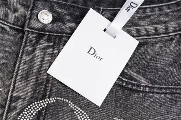 2024SS Dior Shorts - Replica designer shorts