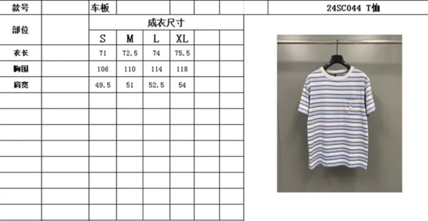 2024SS Dior T Shirt - Replica Dior