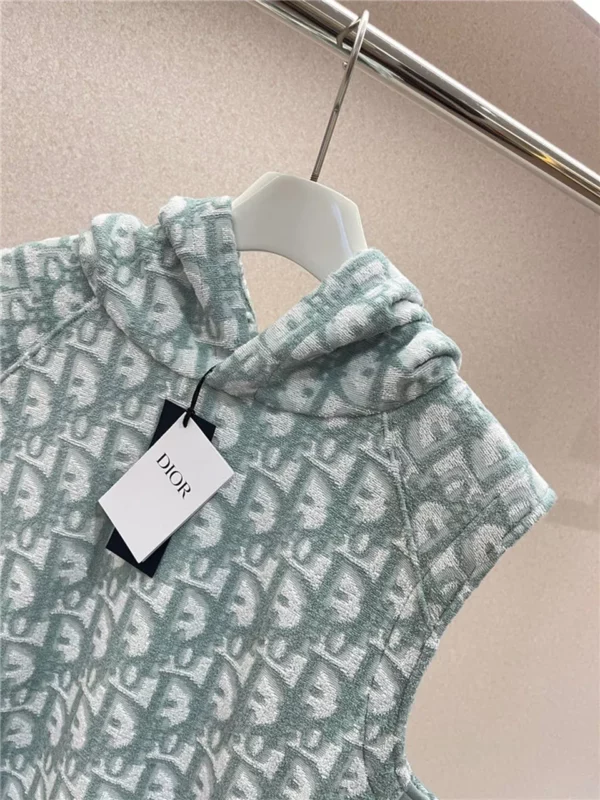 2024SS Dior Hoodie - Replica Dior